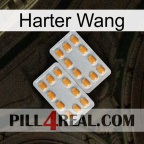 Hard Wang cialis4